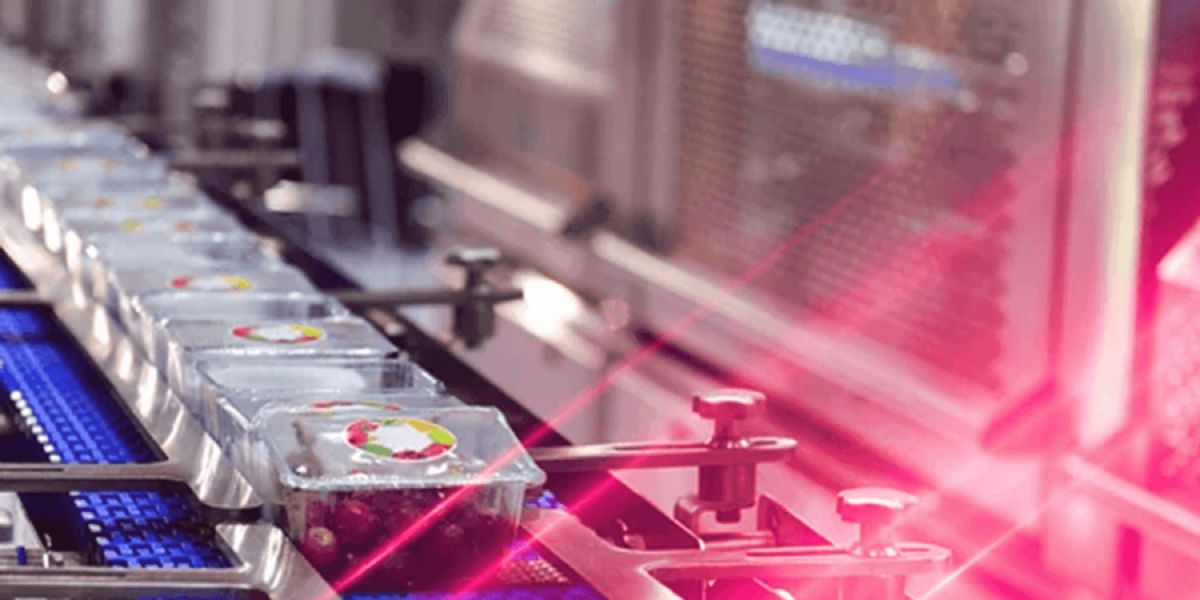 Must-Know Regulations for Food Processors and How to Ensure You’re in ...