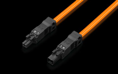2500450 - Cable de conexión