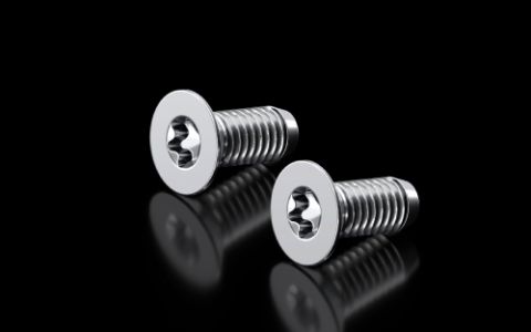 5050616 - Tornillo de fijación para VX